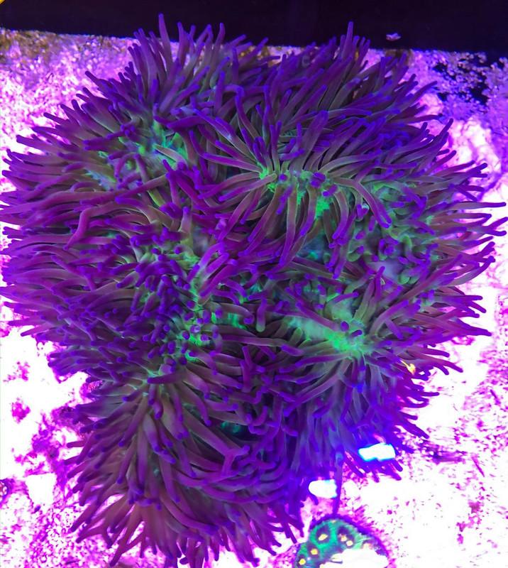 CC463D73-F2C9-4423-B433-A87C5B1DC151