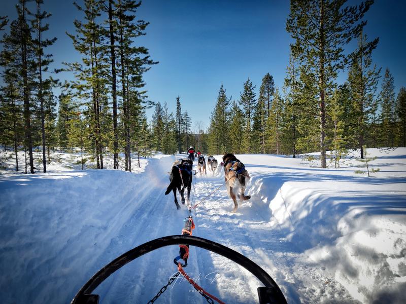 PARTE II - Auroras - 3.er reportaje por Laponia norte - Marzo 2025 (6)