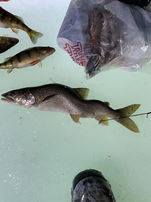 EF20FDCB-A840-4146-BA5D-EEDAA6CA22A6