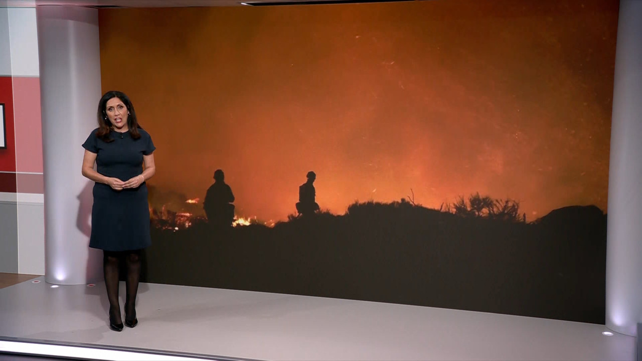 BBC News_20230821_13001330.ts_snapshot_12.39.788