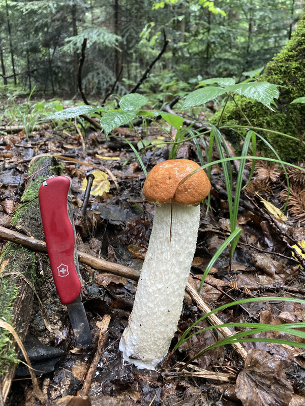 48F291C9-A743-4F3D-8801-97D44550D5BA