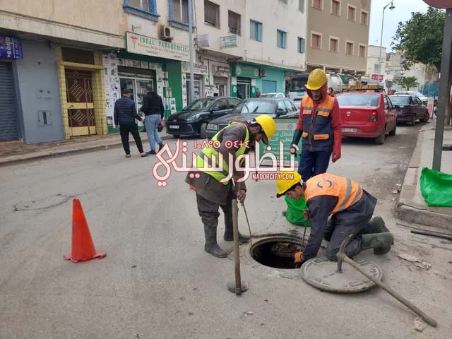 606613088-1950982532437194-1802597714450449394-n