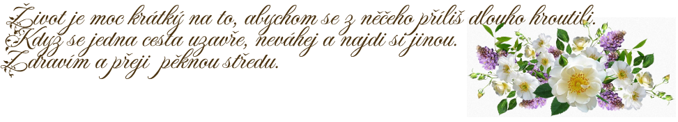 Nov-projekt.png