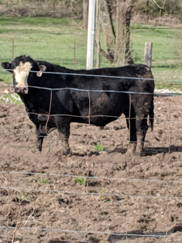 MVIMG_20190401_175456