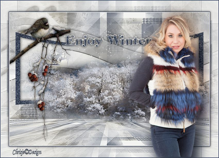 Image and video hosting by TiyPic