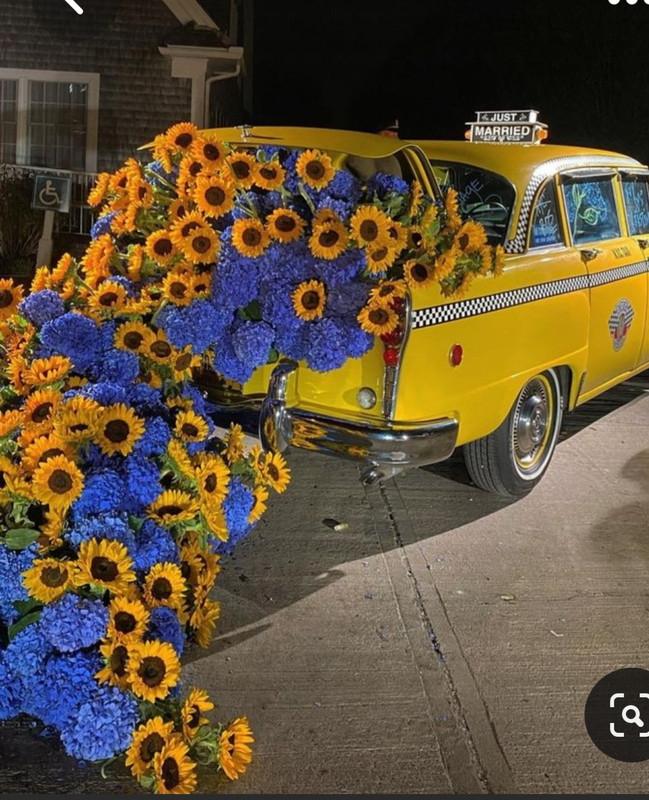 Screenshot_20230614_002244_Pinterest