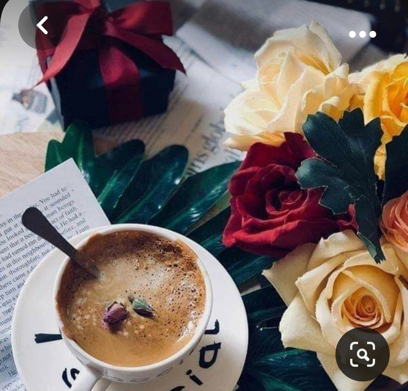 Screenshot_20231031_164147_Pinterest