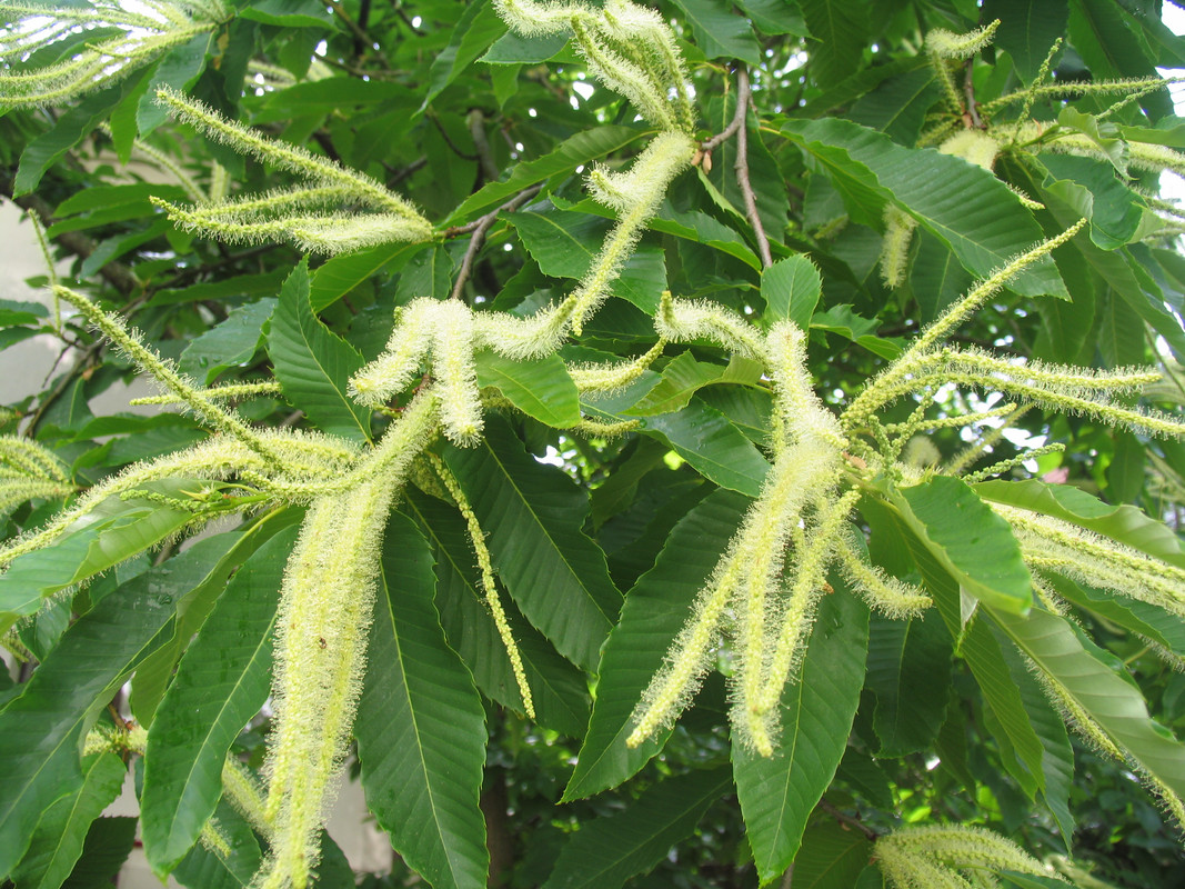 07 июня 2024 020