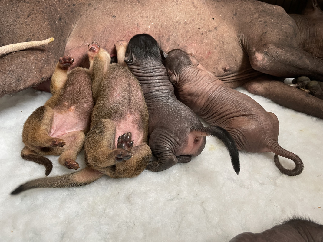 B5174E62-816D-44F4-82BC-0520A807DCDA