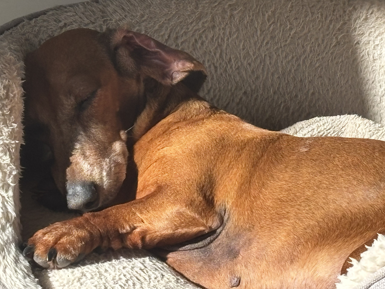 [Image: IMG-3873.jpg]