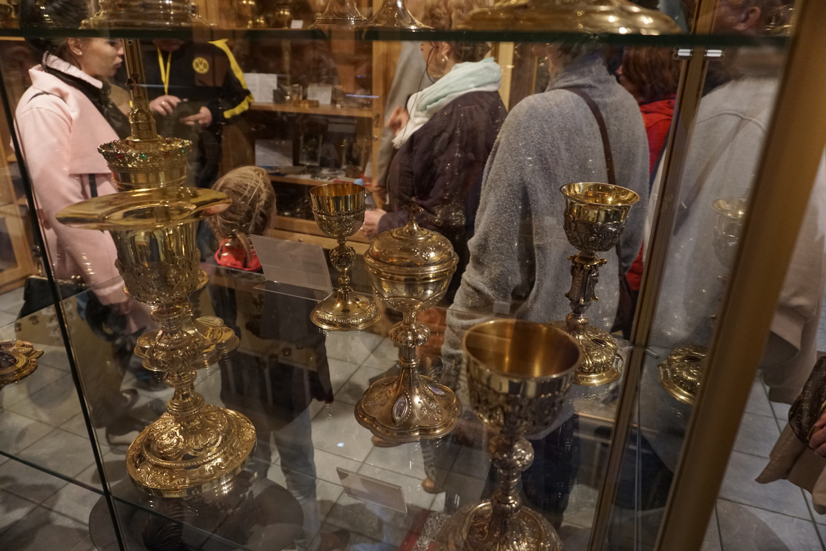 20.14 - DSC08045 (zbychowiec)