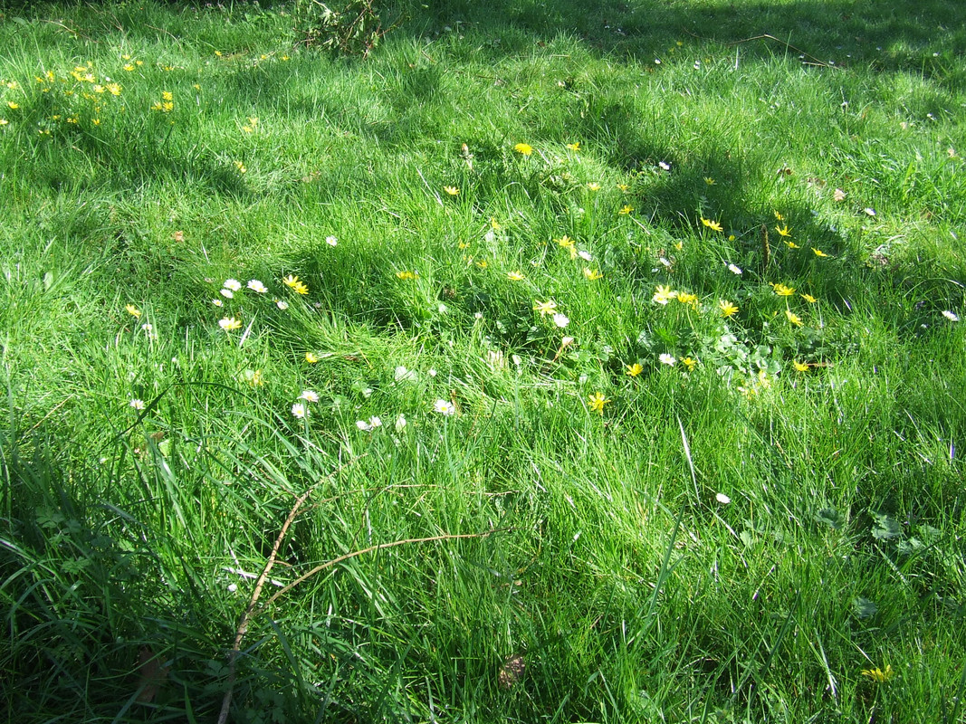 spring-017.jpg