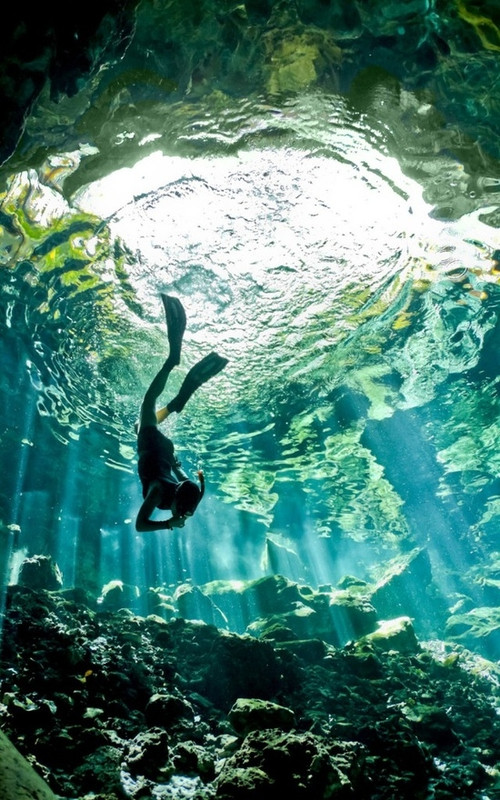 turquoisediver.jpg