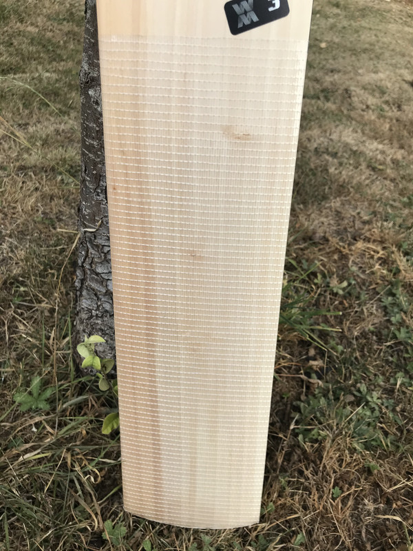 9B7D0DD3-D42B-42AC-9C69-7445ADFF847E