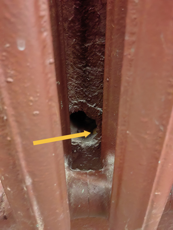 IMG 20260308 110556 edit 46960099137189