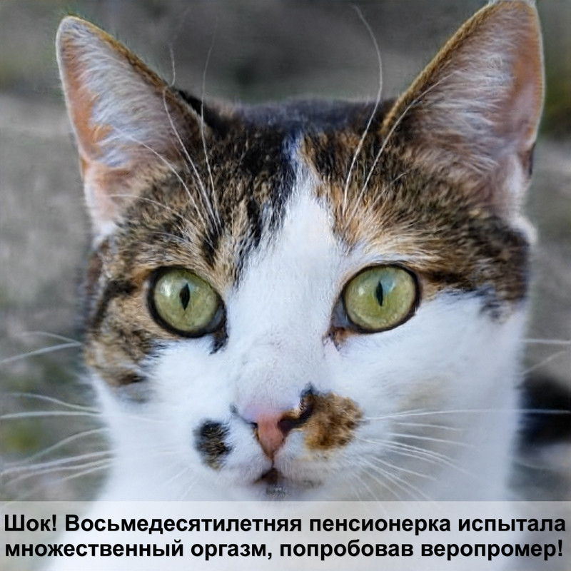 игровой комплекс для кошек своими руками фото