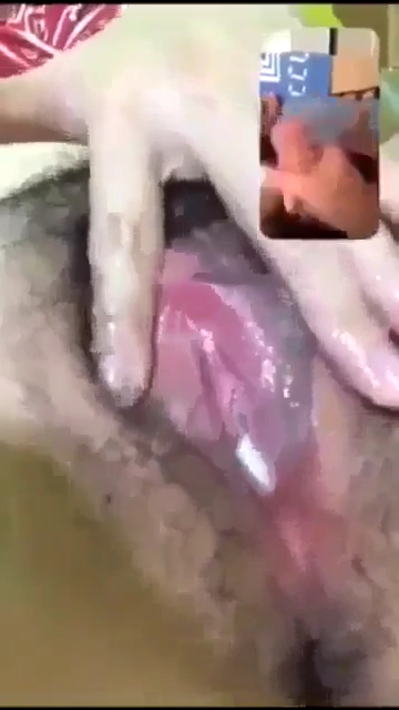 IMG-20240805-16054822.jpg