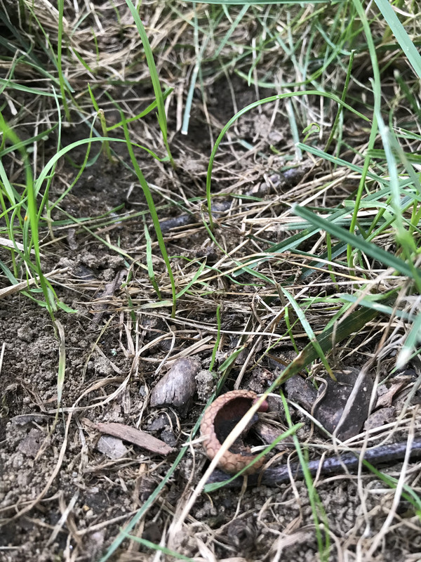 625C4D4D-6A6F-4846-9305-1756DCF93E9E