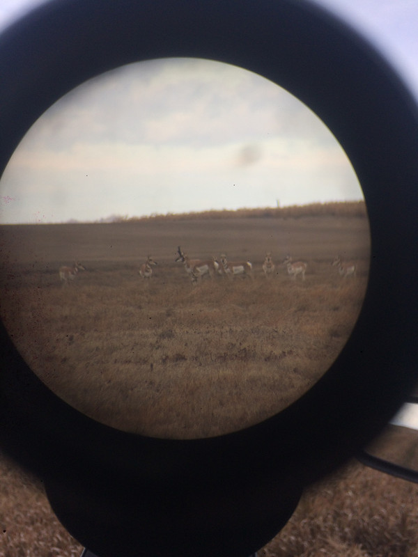 9C6A812C-984A-4384-AAD2-25AB3F0594C2