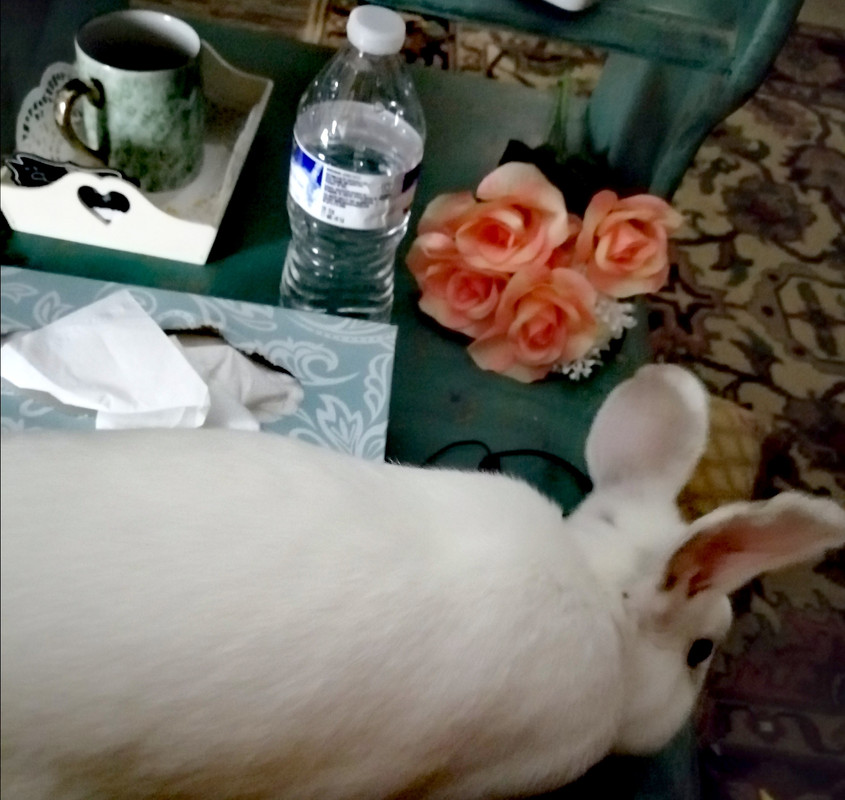 IMG_٢٠٢١٠٥٢٤_٠٣٤٩٤٥