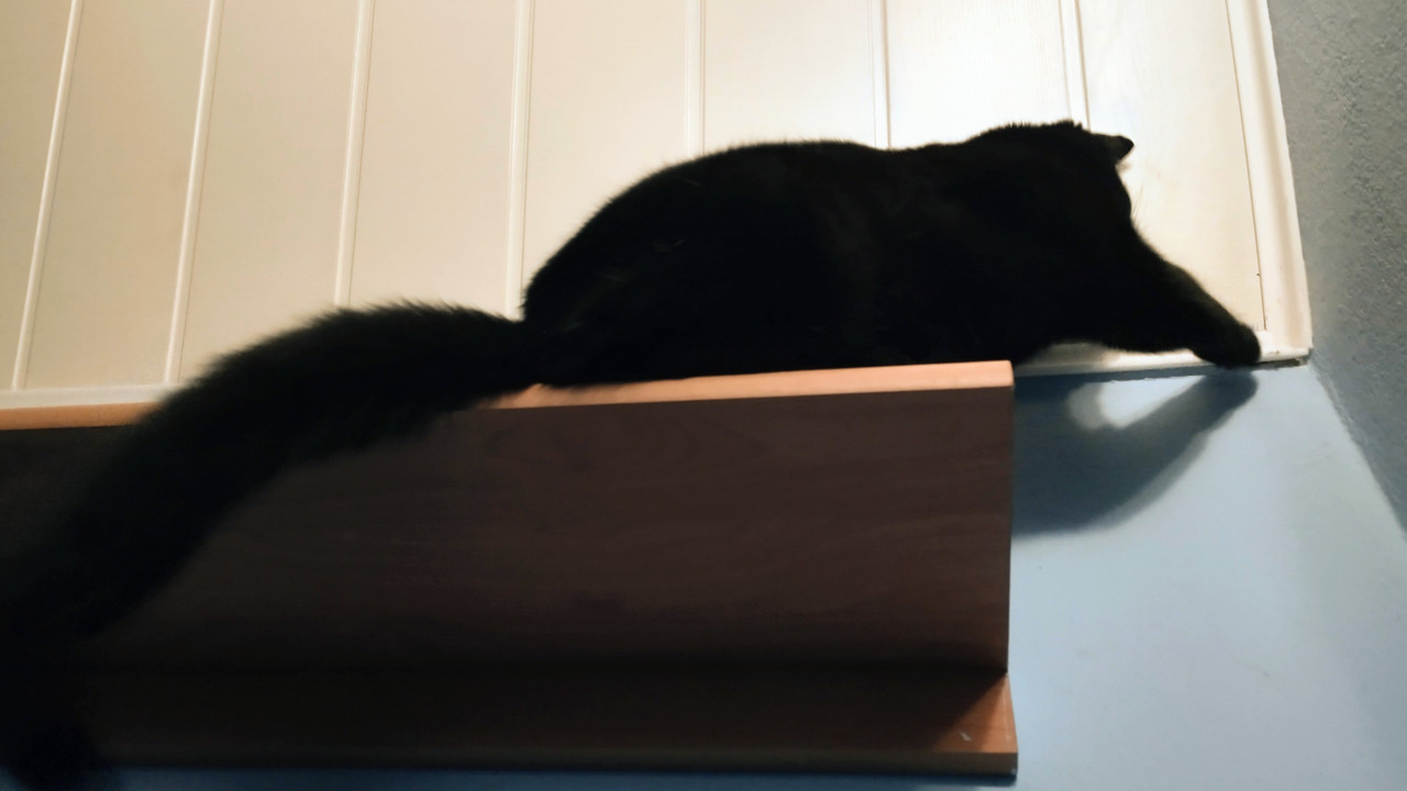 IMG 20251113 205252263 HDR 2