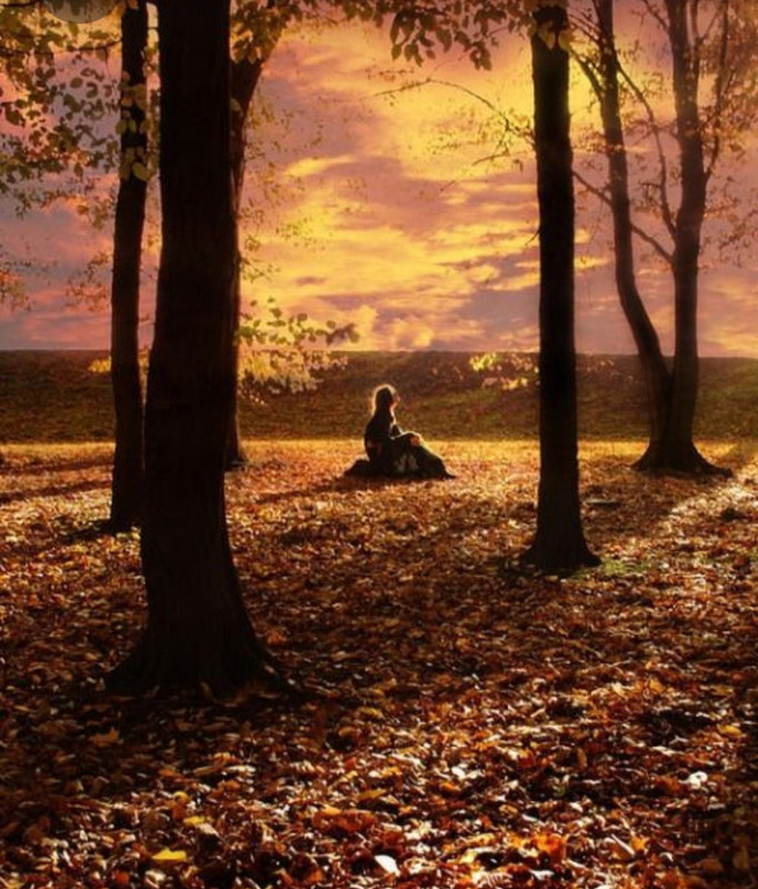 Screenshot_20230313_224342_Pinterest