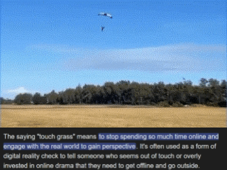 touch-grass-with-def.gif