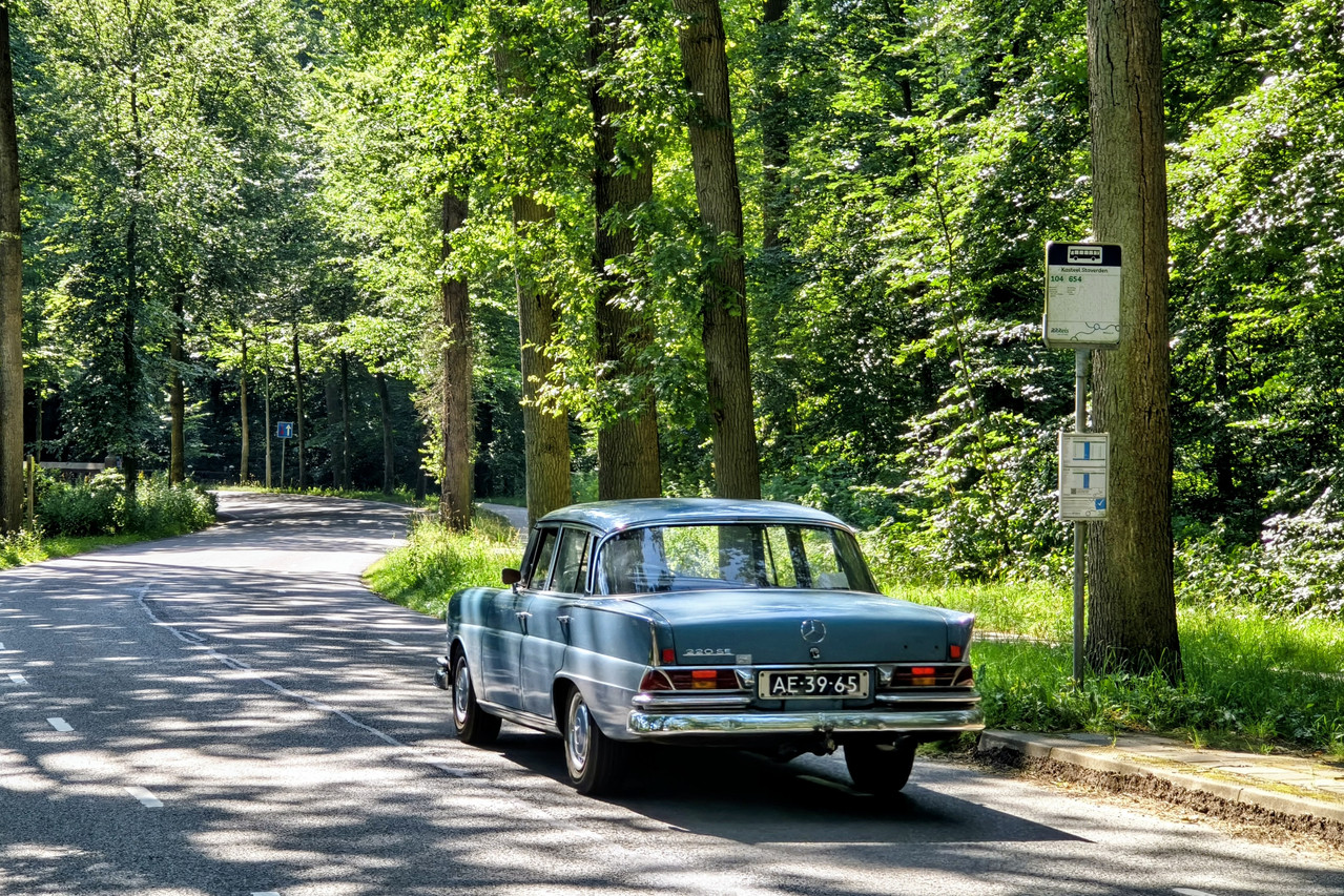 IMG-20260711-164517084-HDR-2.jpg