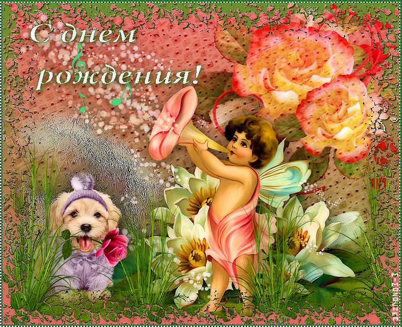С днем рождения11