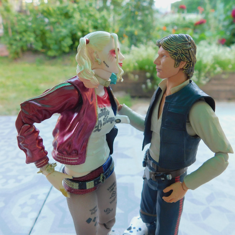 Дачно-Харлинский июнь-июль 2024 286