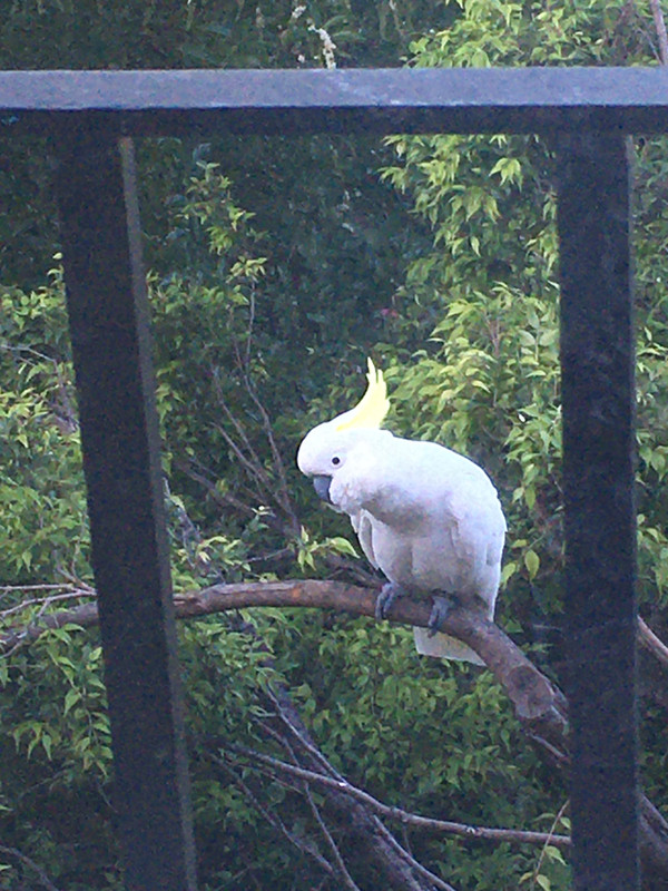 1618F30D-053C-43AE-95AA-05FBAB7F49E2