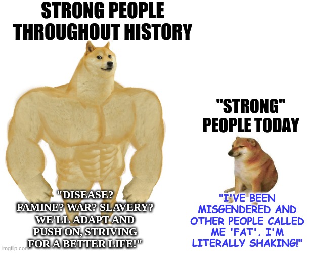 7f35o1.jpg