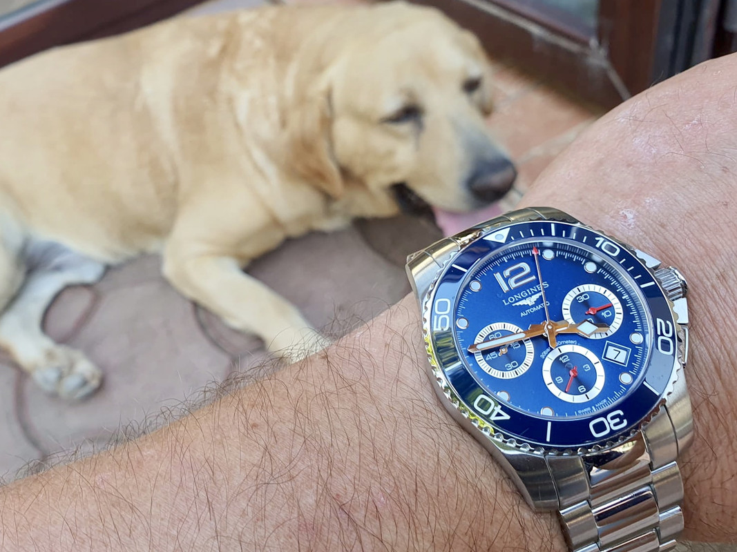 11249992-3ADF-4D7E-8032-E7F12E90F0A4