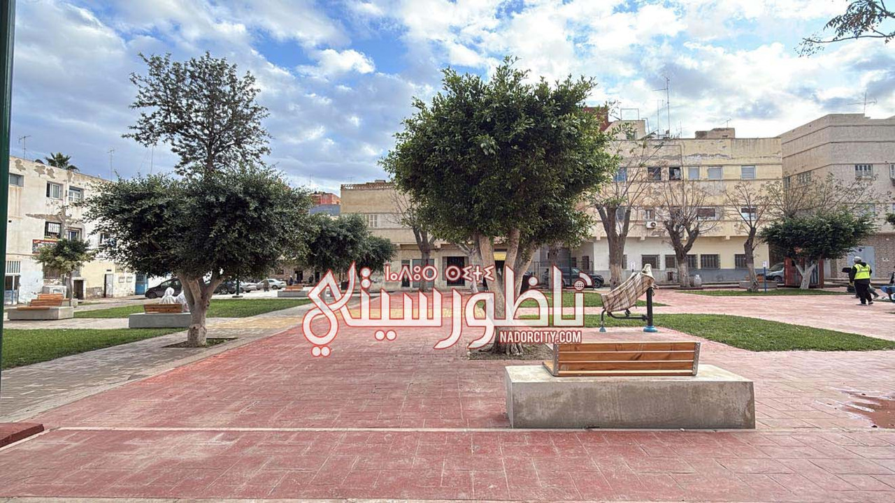 621463541-880677411348058-4052182434047895487-n