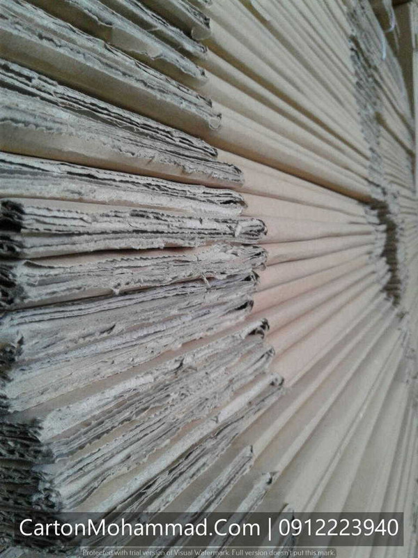 carton-mohammad (13)