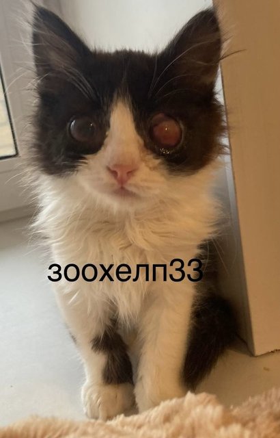 205CF03E-308B-4761-B782-1EA3433C6352