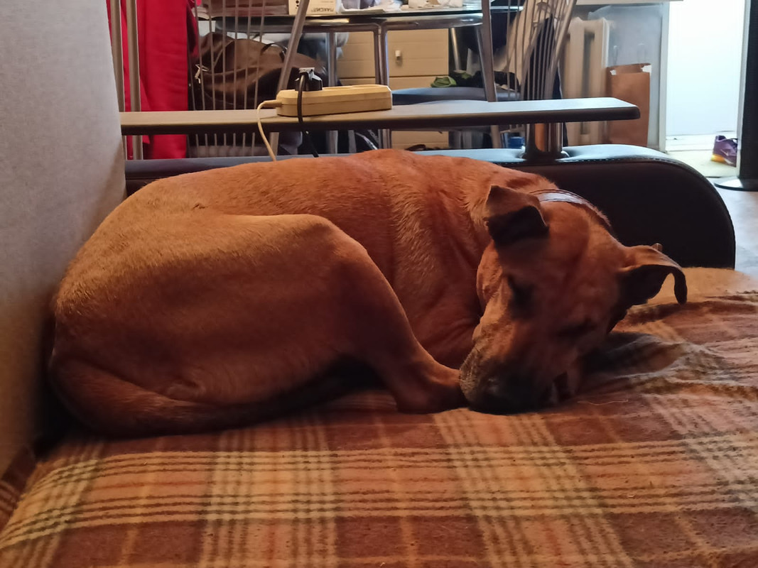 4EB7D729-0E6B-4EC8-9A96-C4B217BA1249