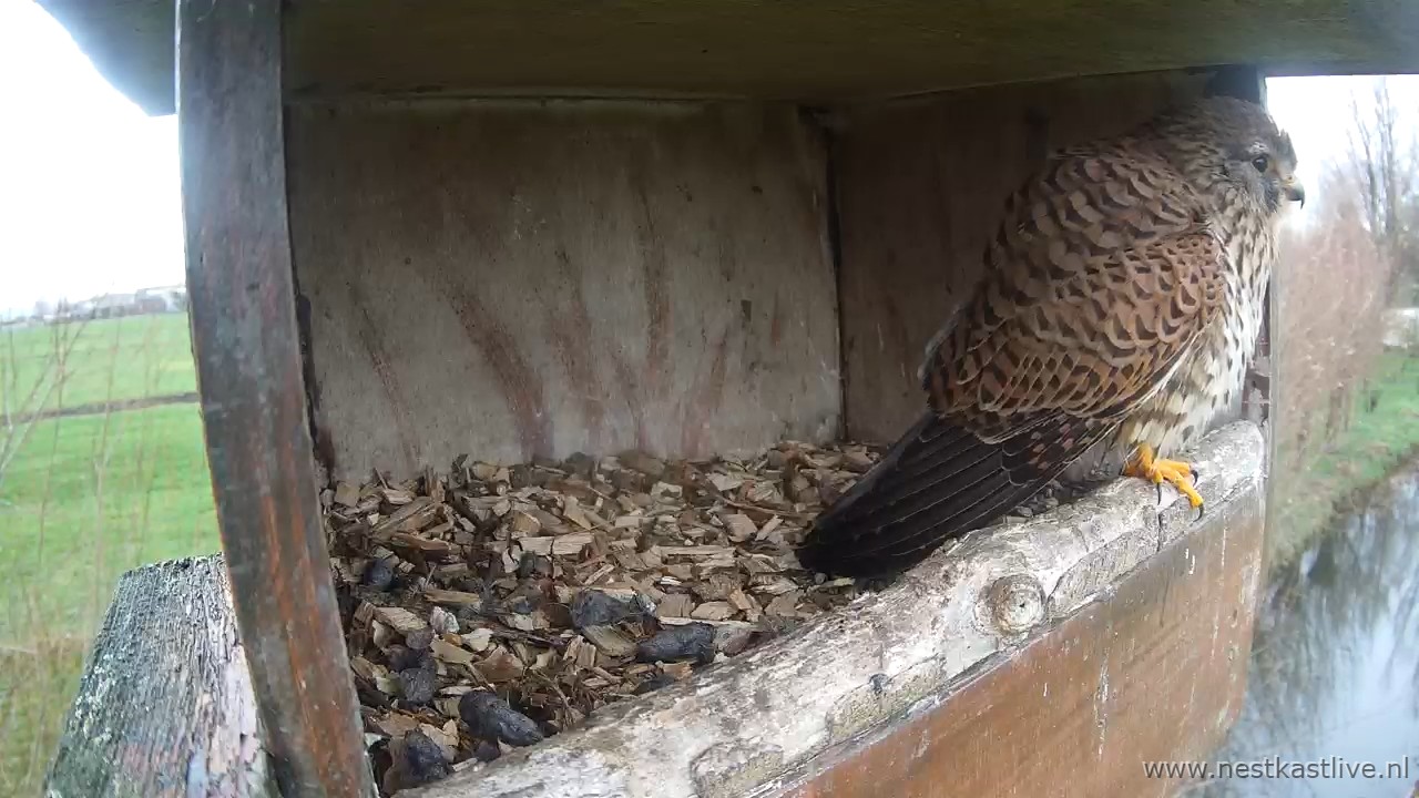 snapshot 2025 12 19T111317 576