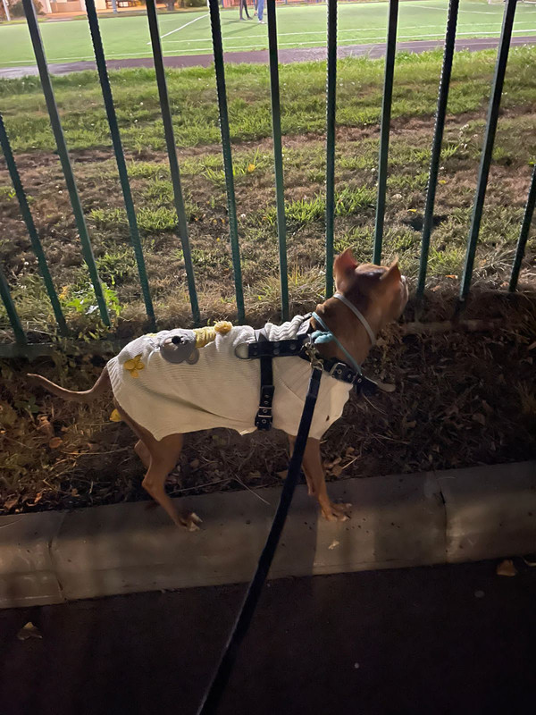 2708DA7F-E89A-4378-B1A9-1C2CD1E260D1