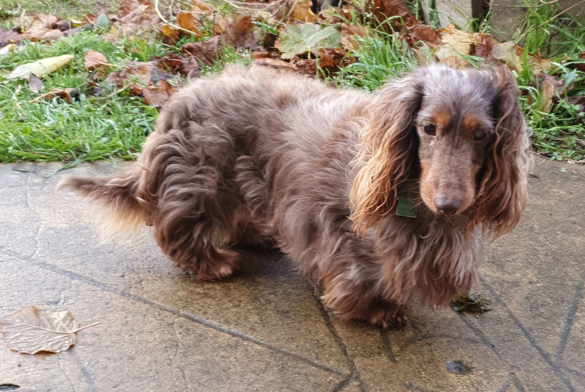 [Image: 20211201-141001.jpg]