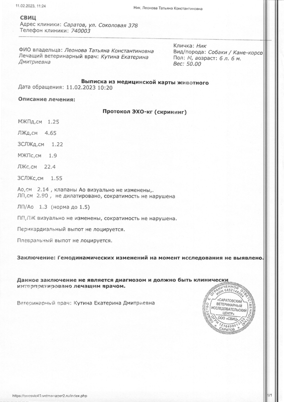 Document (294)4