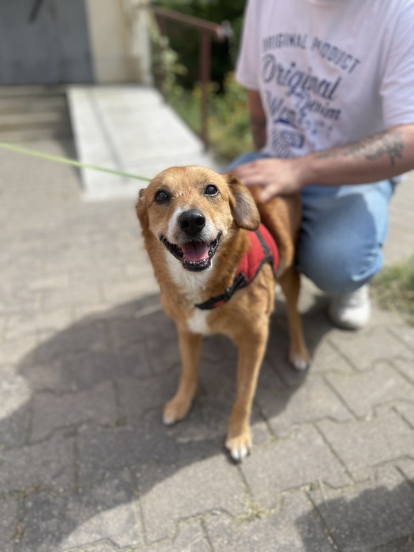 BCB0DECC-4D1A-44EE-802F-BB2A8E46554E