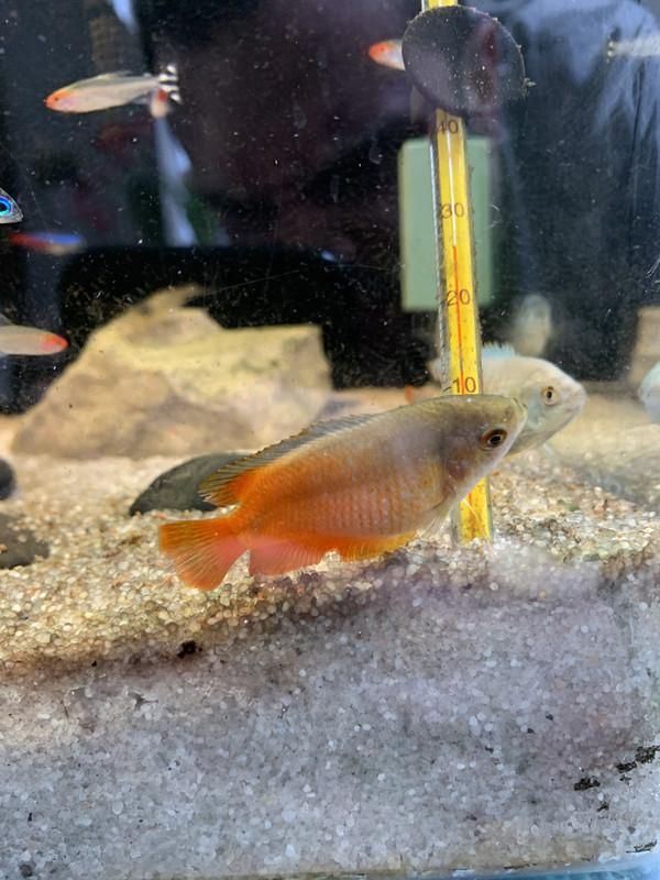 A05D7CAA-CDEA-4954-A40F-F125DD19CDA9