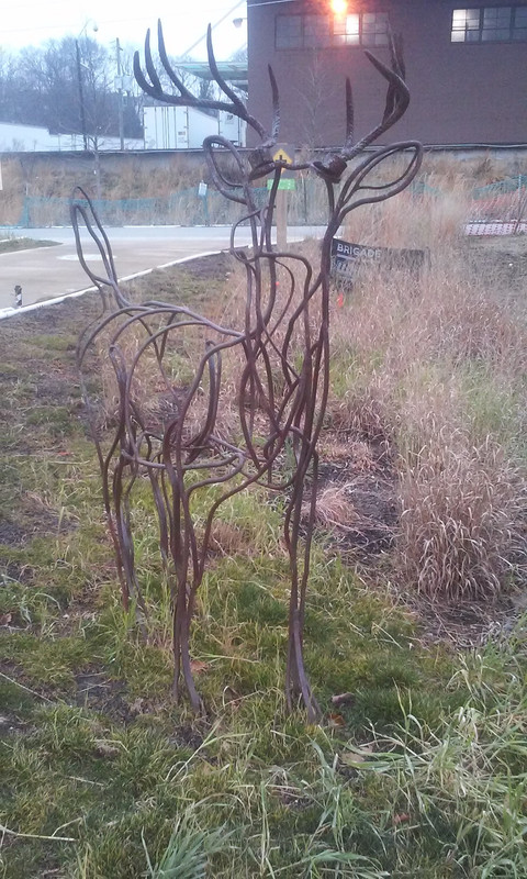 20150301_180522