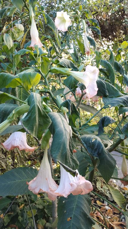 изображение_viber_2024-11-05_15-26-12-972