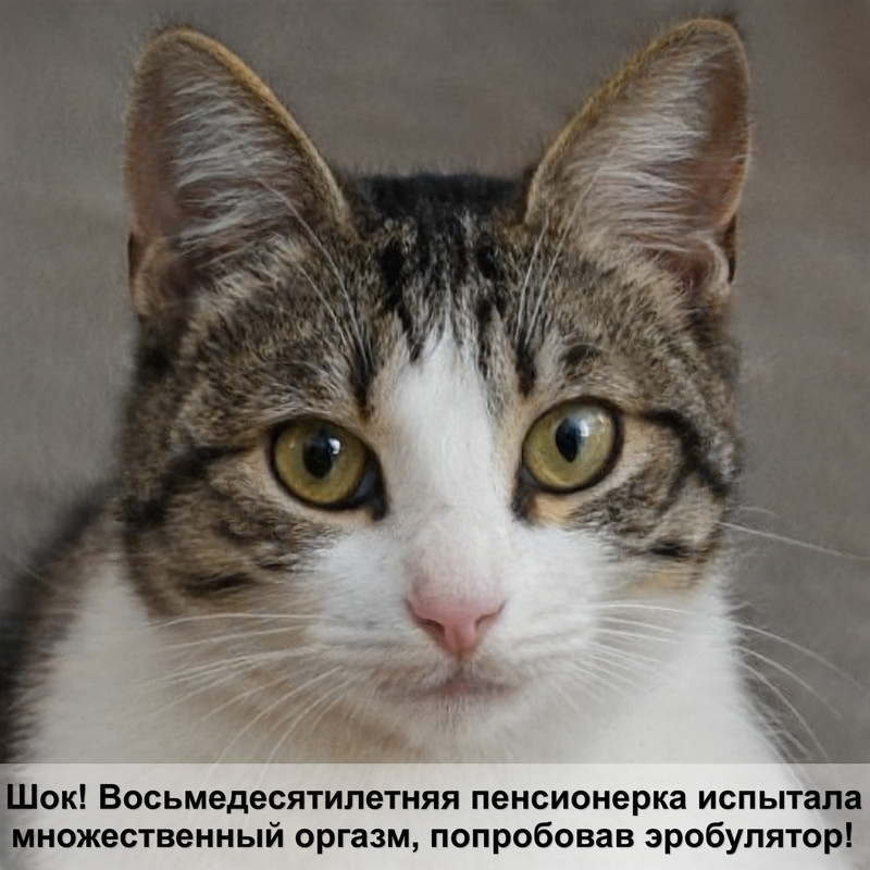 окрас саванны кошки