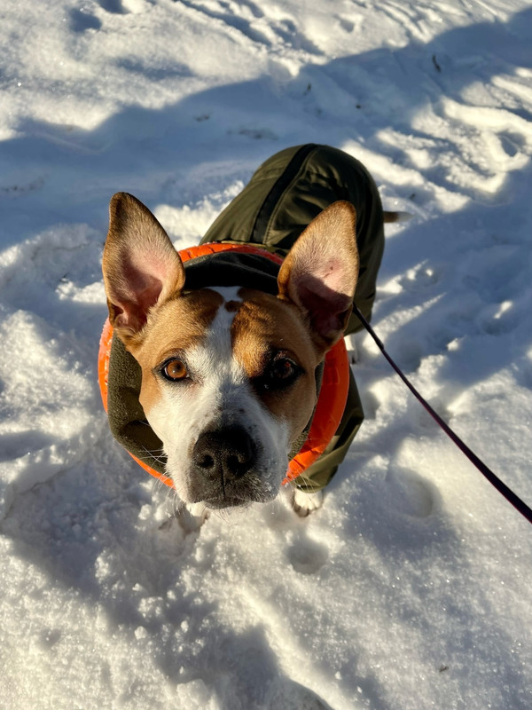 AEA64773-8F45-4A44-A08B-08A80E663B11