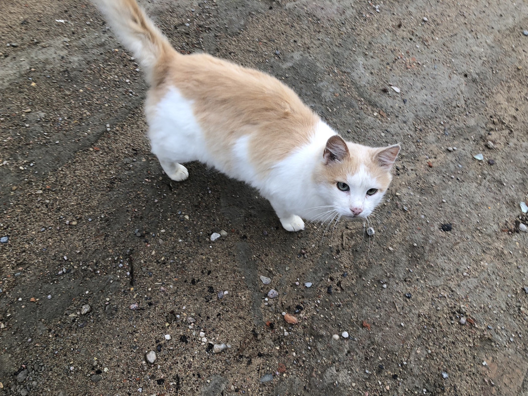 34F163F6-7283-4182-886D-B8127F36A774