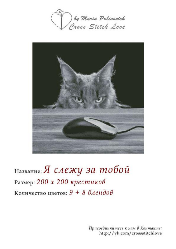 Ya-slezhu-za-toboy-001
