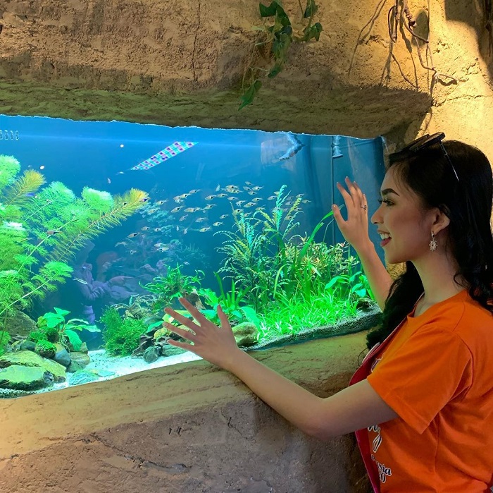 Melihat beragam jenis ikan di Aquarium KLCC Kuala Lumpur
